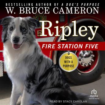 Ripley: Fire Station Five