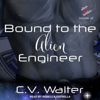 Bound to the Alien Engineer