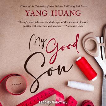 My Good Son: A Novel