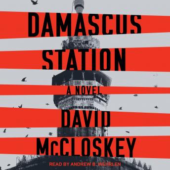 Damascus Station: A Novel, David Mccloskey