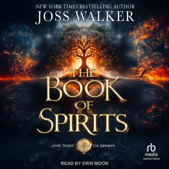 The Book of Spirits
