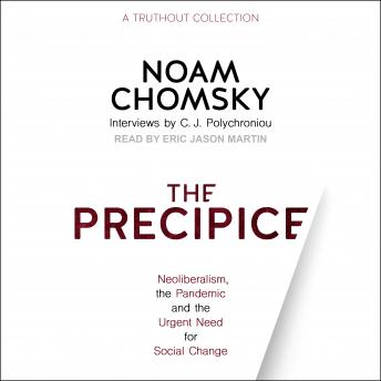 The Precipice: Neoliberalism, the Pandemic and the Urgent Need for Social Change