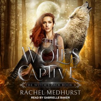 Download Wolf's Captive by Rachel Medhurst