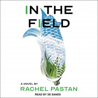 In the Field: A Novel