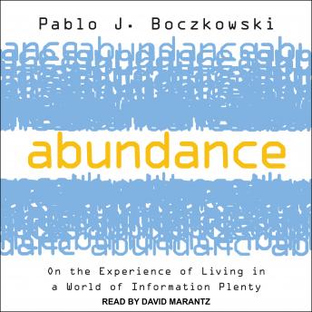 Download Abundance: On the Experience of Living in a World of Information Plenty by Pablo J. Boczkowski