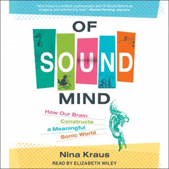 Download Of Sound Mind: How Our Brain Constructs a Meaningful Sonic World by Nina Kraus