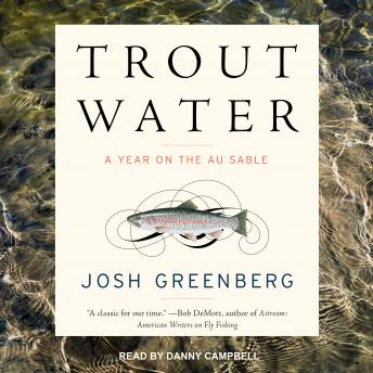 Download Trout Water: A Year on the Au Sable by Josh Greenberg