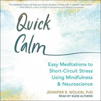 Quick Calm: Easy Meditations to Short-Circuit Stress Using Mindfulness and Neuroscience