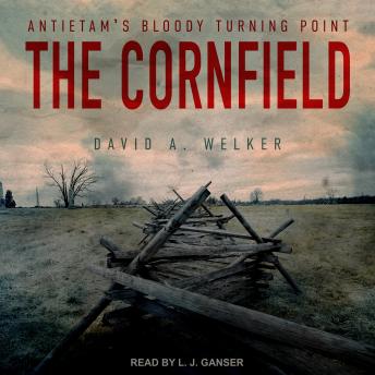 The Cornfield: Antietam's Bloody Turning Point