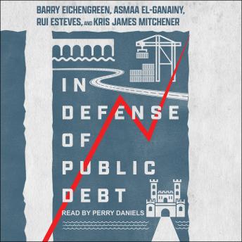 In Defense of Public Debt