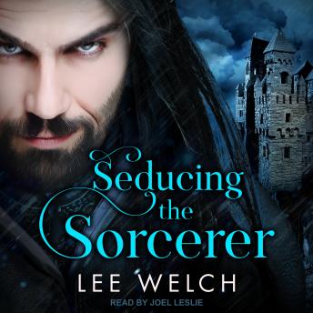Download Seducing the Sorcerer by Lee Welch