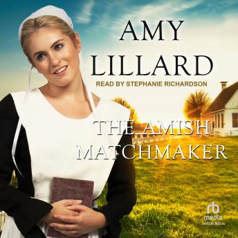 Download Amish Matchmaker by Amy Lillard
