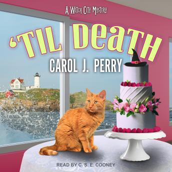 Download 'Til Death by Carol J. Perry