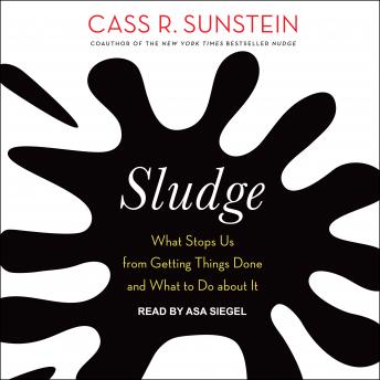 Sludge: What Stops Us from Getting Things Done and What to Do about It