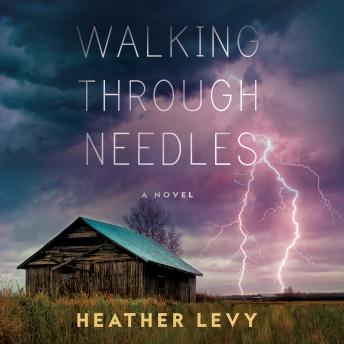 Walking Through Needles, Audio book by Heather Levy