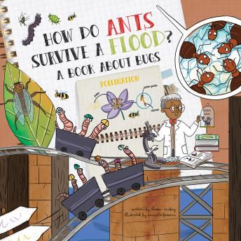 How Do Ants Survive a Flood?: A Book about Bugs