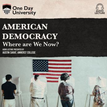 American Democracy: Where Are We Now?