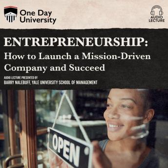 Entrepreneurship: How to Launch a Mission-Driven Company and Succeed
