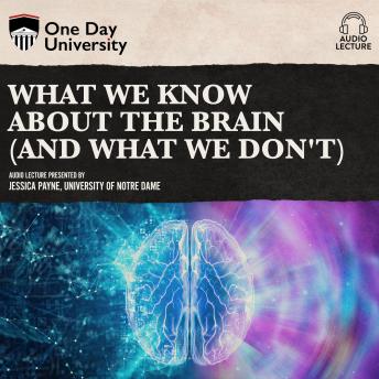 Download What We Know About the Brain (and What We Don't) by Jessica Payne