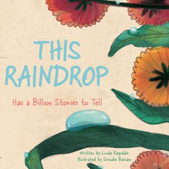 This Raindrop: Has a Billion Stories to Tell
