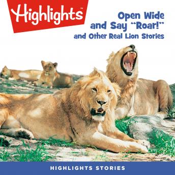 Open Wide and Say Roar and Other Real Lion Stories, Audio book by Highlights For Children