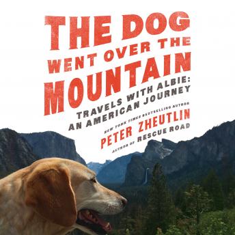 Download Dog Went Over the Mountain: Travels With Albie: An American Journey by Peter Zheutlin