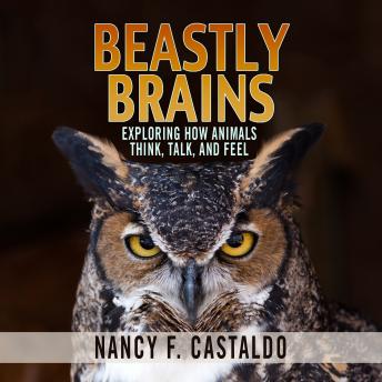Download Beastly Brains: Exploring How Animals Think, Talk, and Feel by Nancy F. Castaldo