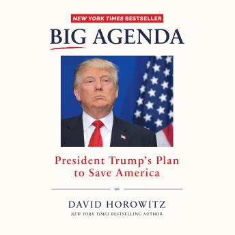 Big Agenda: President Trump's Plan to Save America