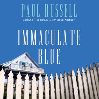 Immaculate Blue: A Novel