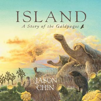Island: A Story of the Galapagos