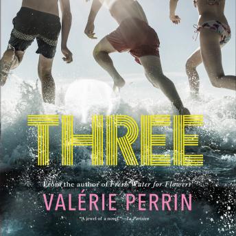 Three by Valérie Perrin audiobooks free mp4 apple | fiction and literature