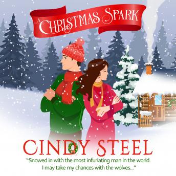 Download Christmas Spark by Cindy Steel
