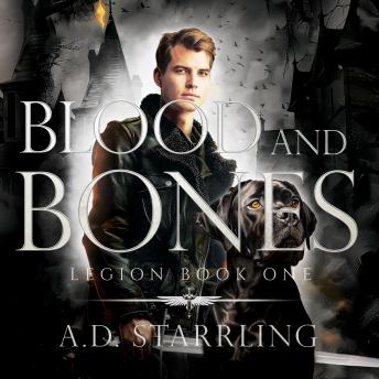 Blood and Bones: Legion Book 1