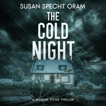 Cold Night, The: A Jacklyn Stone Thriller