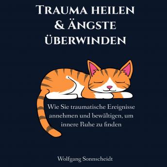 [German] - Trauma heilen & Ängste überwinden: Wie Sie traumatische Ereignisse annehmen und bewältigen, um innere Ruhe zu finden