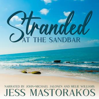 Stranded at the Sandbar: A Sweet, Castaway, Military Romance