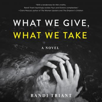 What We Give, What We Take: A Novel