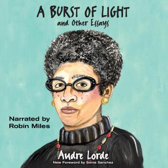 A Burst of Light: and Other Essays