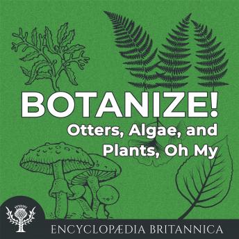 Otters, Algae, and Plants, Oh My