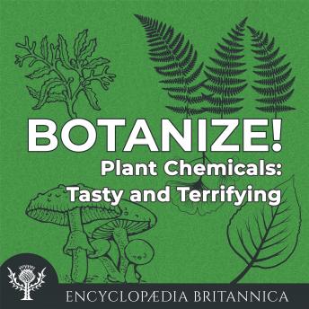Plant Chemicals: Tasty and Terrifying