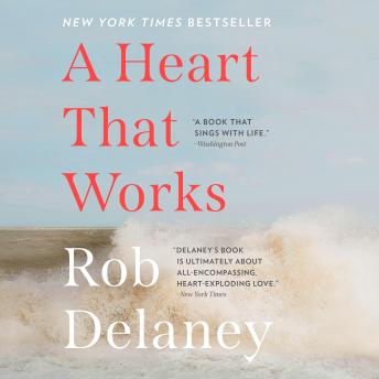 Download Heart that Works by Rob Delaney