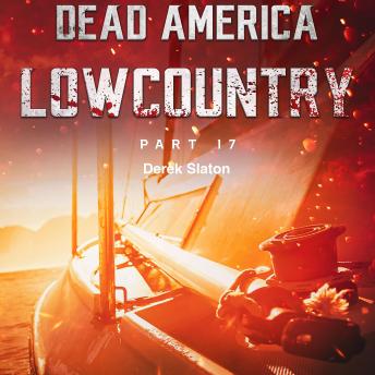 Dead America - Lowcountry Part 17, Audio book by Derek Slaton