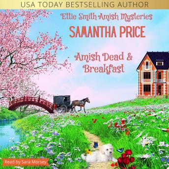 Download Amish Dead & Breakfast: Amish Cozy Mystery by Samantha Price
