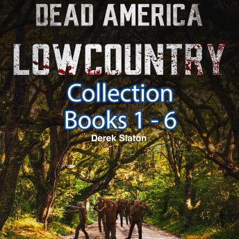 Dead America - Lowcountry Collection Books 1-6, Audio book by Derek Slaton