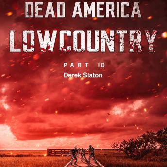 Dead America - Lowcountry Part 10, Audio book by Derek Slaton