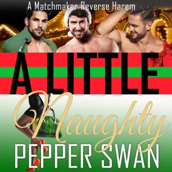 A Little Naughty: A Matchmaker Reverse Harem Romance