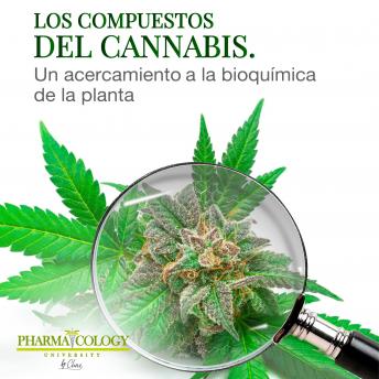 [Spanish] - Los compuestos del cannabis: Un acercamiento a la bioquímica de la planta
