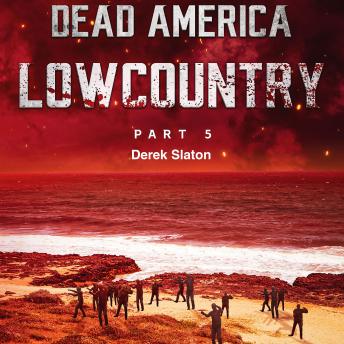 Dead America - Lowcountry Part 5, Audio book by Derek Slaton