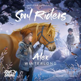 Star Stable: Winterlong: Alex's Story