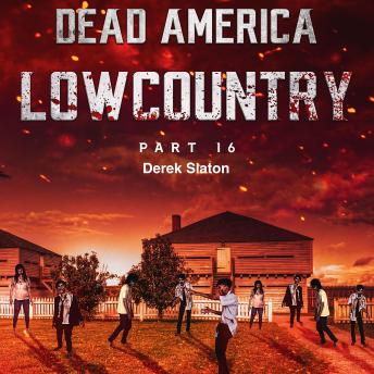 Dead America - Lowcountry Part 16, Audio book by Derek Slaton